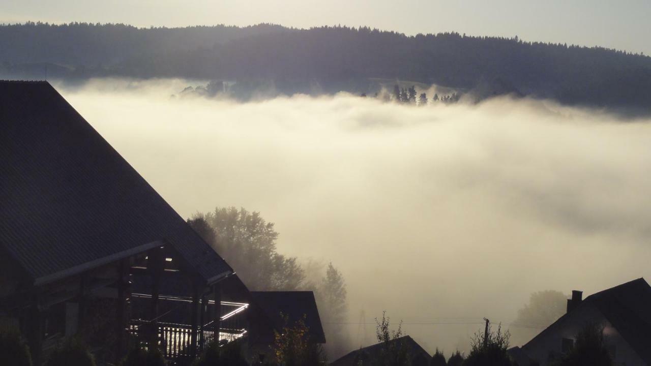 Wilkowka Villa Wolkowyja Exterior foto