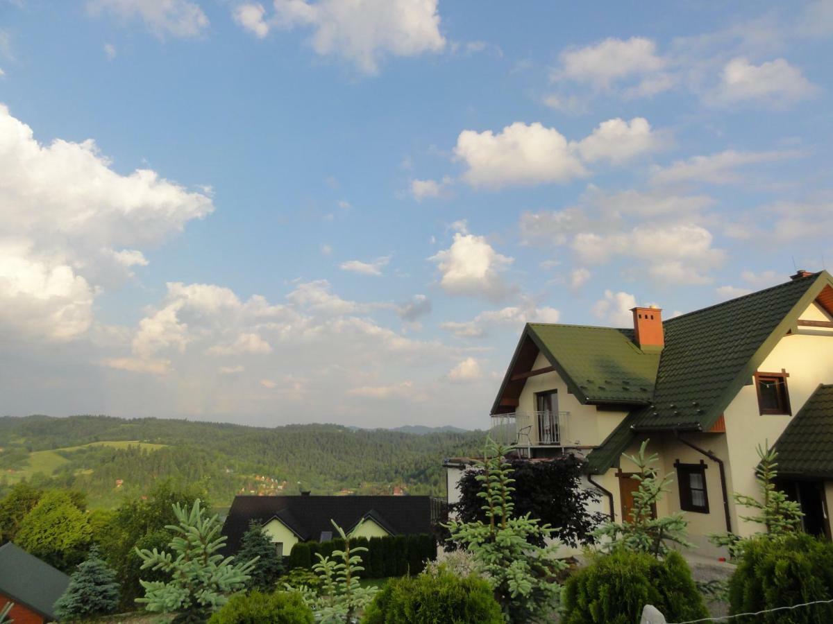 Wilkowka Villa Wolkowyja Exterior foto